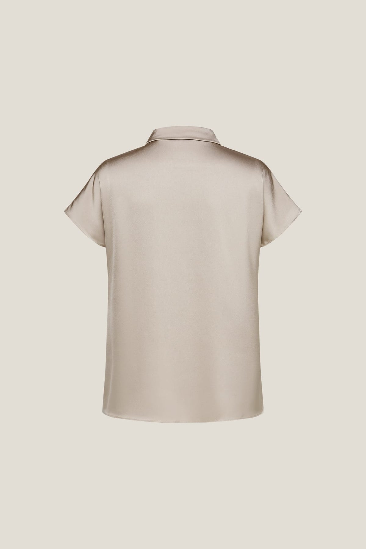 G2000 Blouses Satin Cap Sleeve Blouse with Scarf Necklace