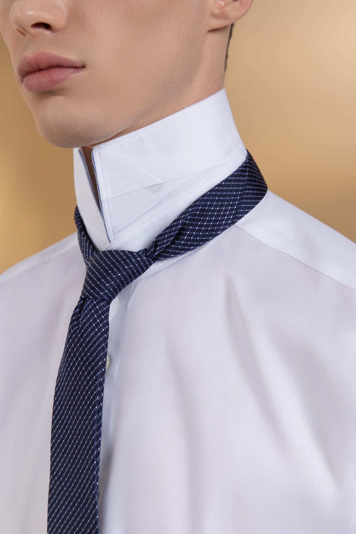 Non-Iron Cotton Stretch Dobby Texture Smart Fit Long Sleeve Shirt