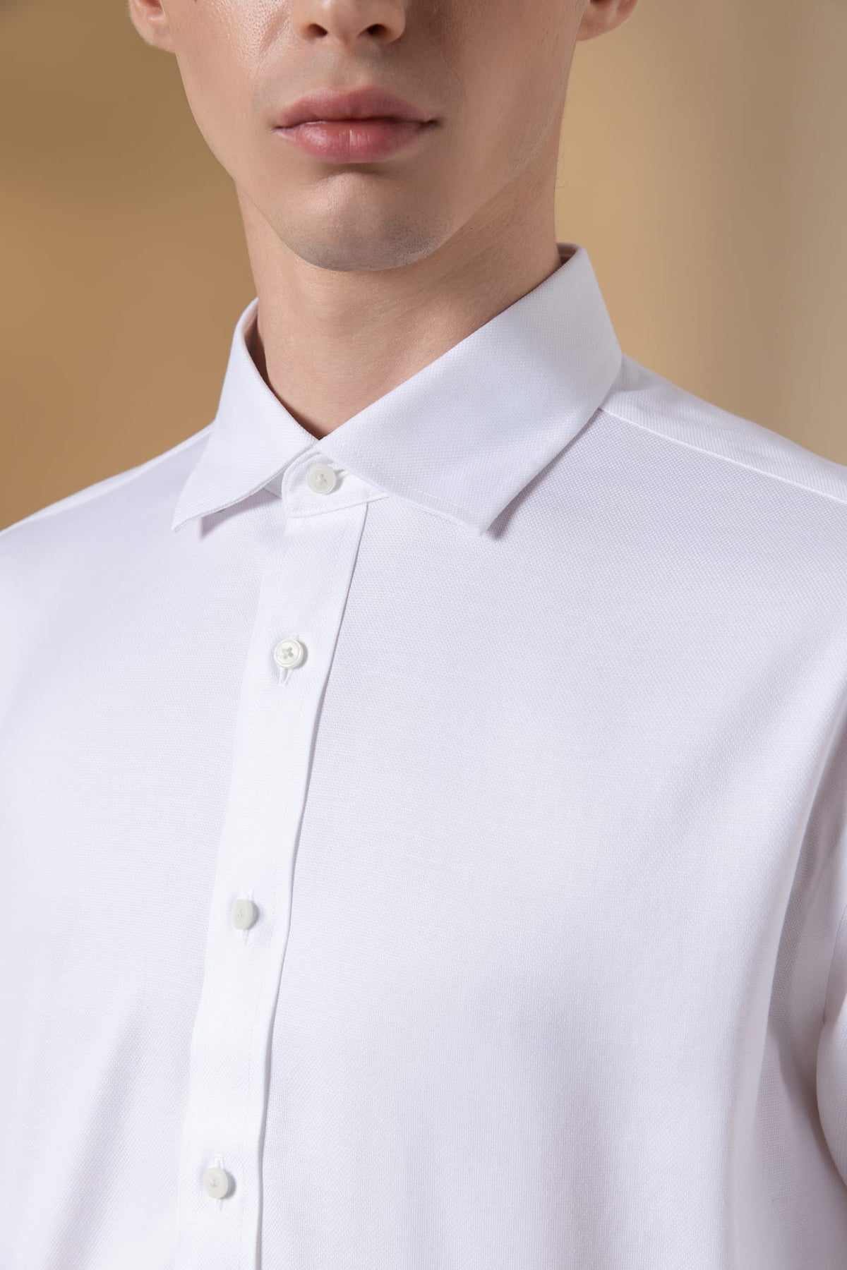 Non-Iron Cotton Stretch Dobby Texture Regular Fit Long Sleeve Shirt