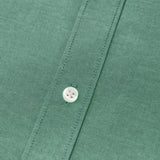Lustrous Malachite