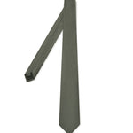Lichen Gray