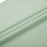 Minty Mist