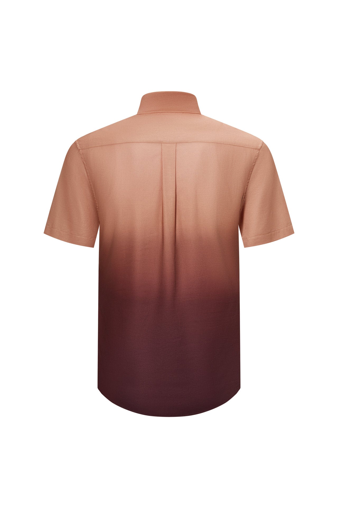 Coral Blush