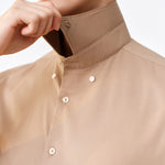 Apricot Cream