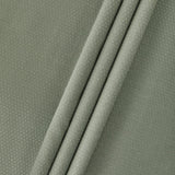 Glossy Eucalyptus