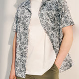 Stone Gray