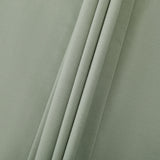 Olive Leaf