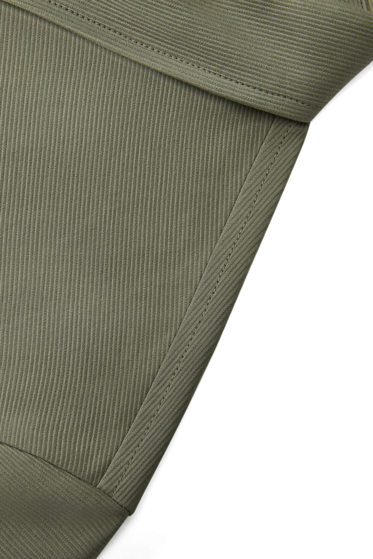 Olive Leaf