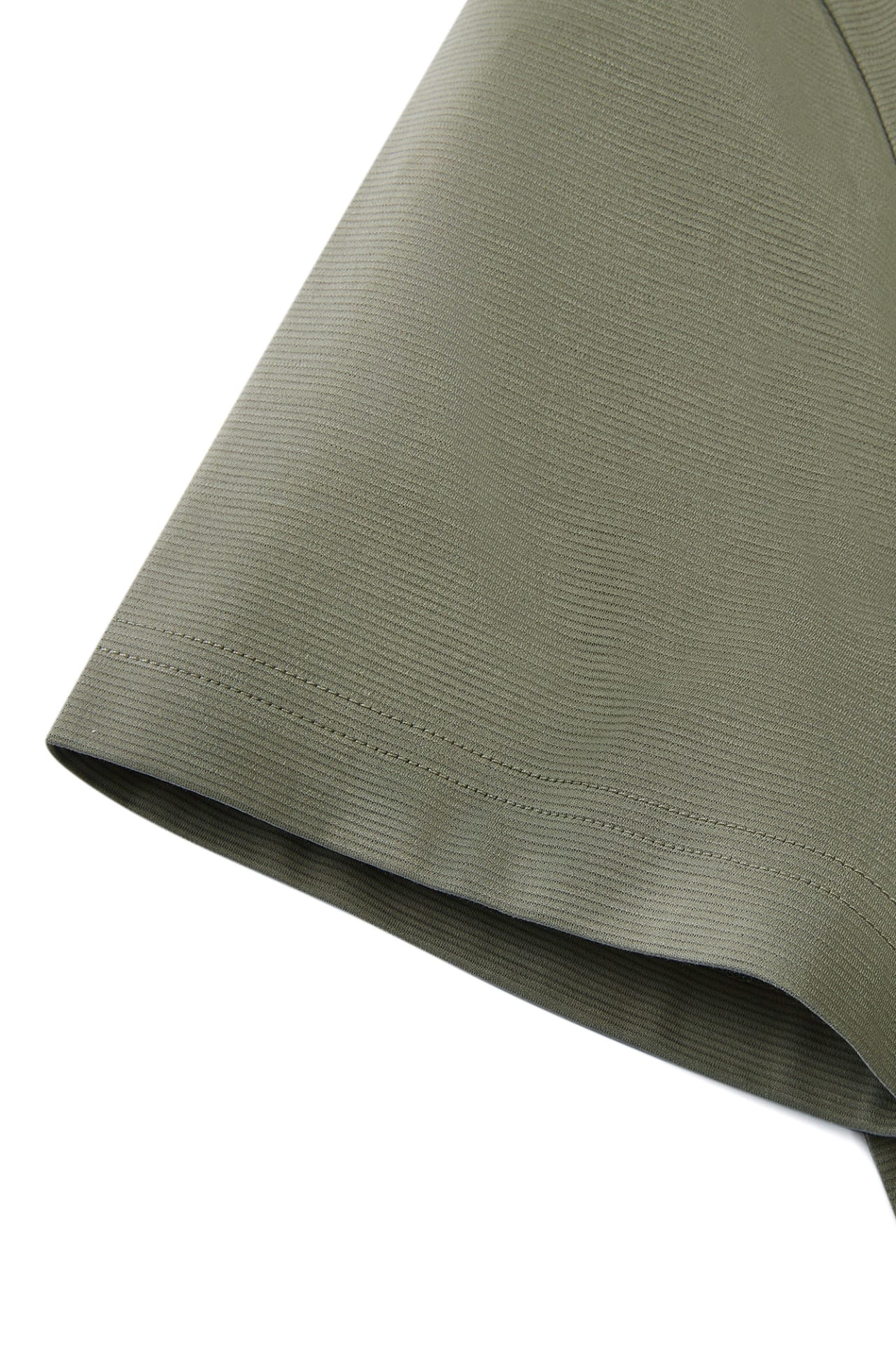 Olive Leaf