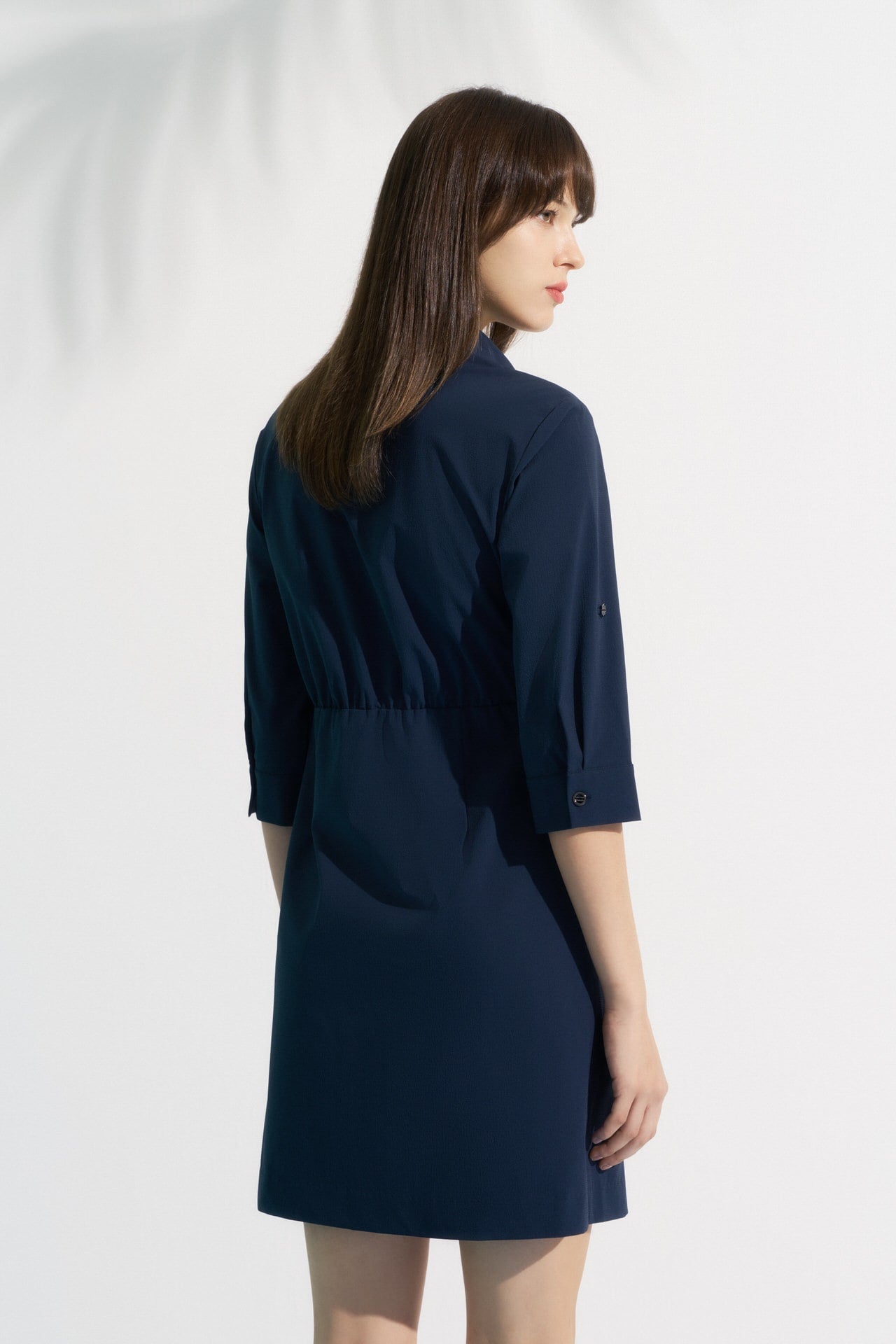 Midnight Velvet