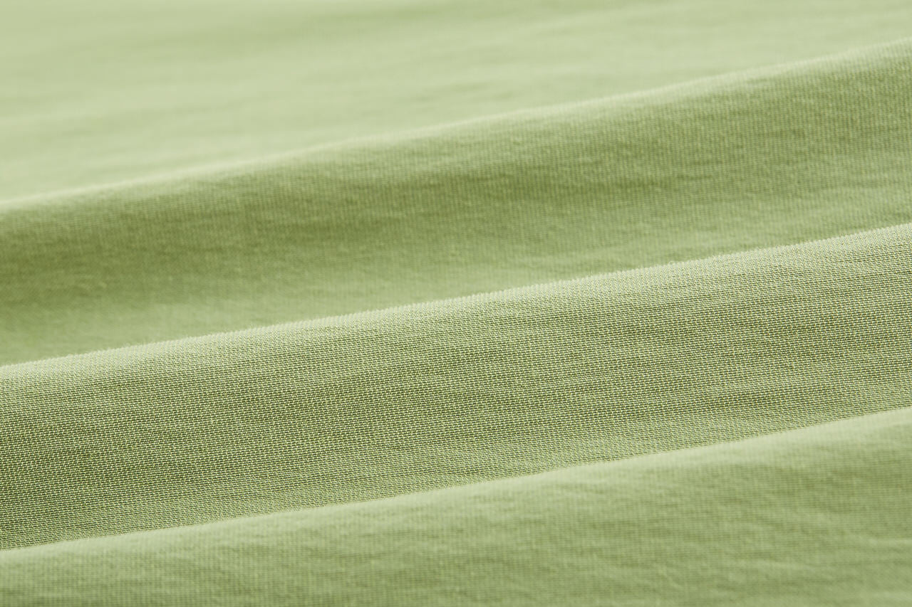 Olive Leaf