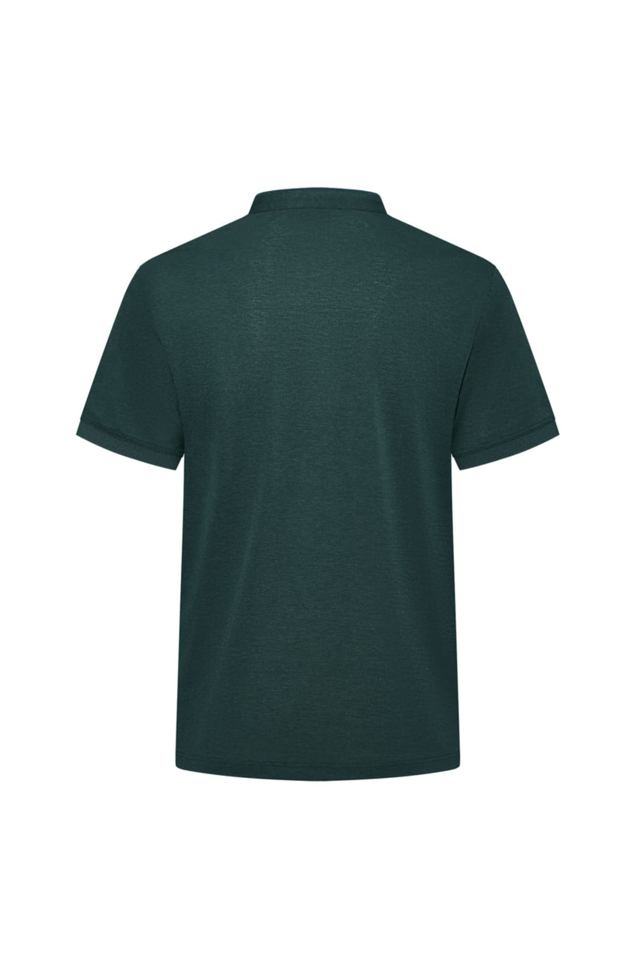 Evergreen Depths