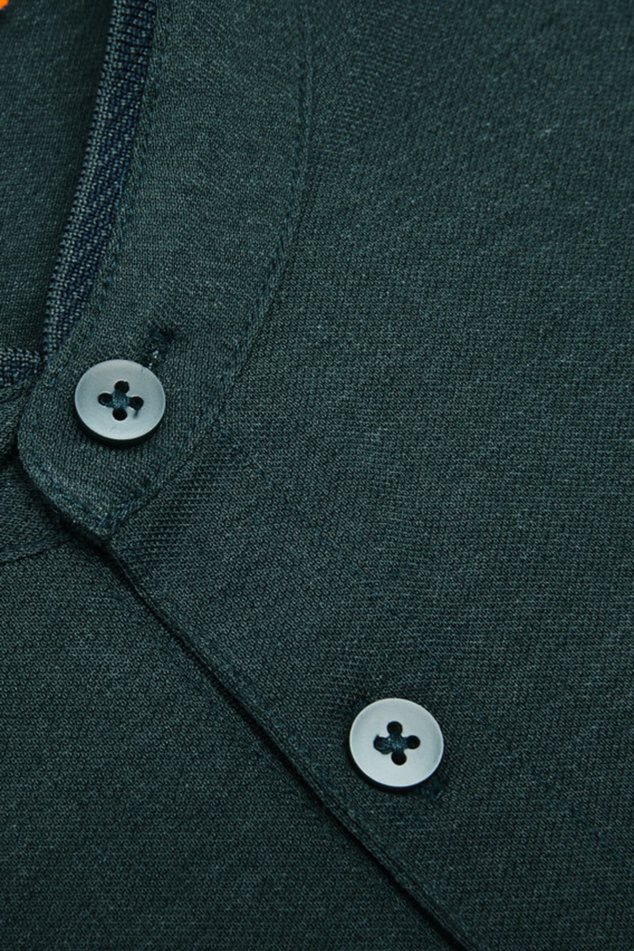 Evergreen Depths