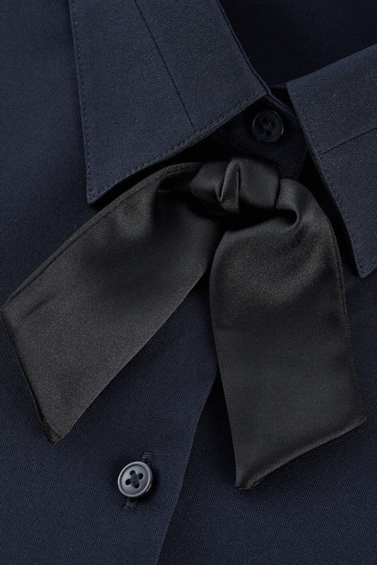 Midnight Velvet