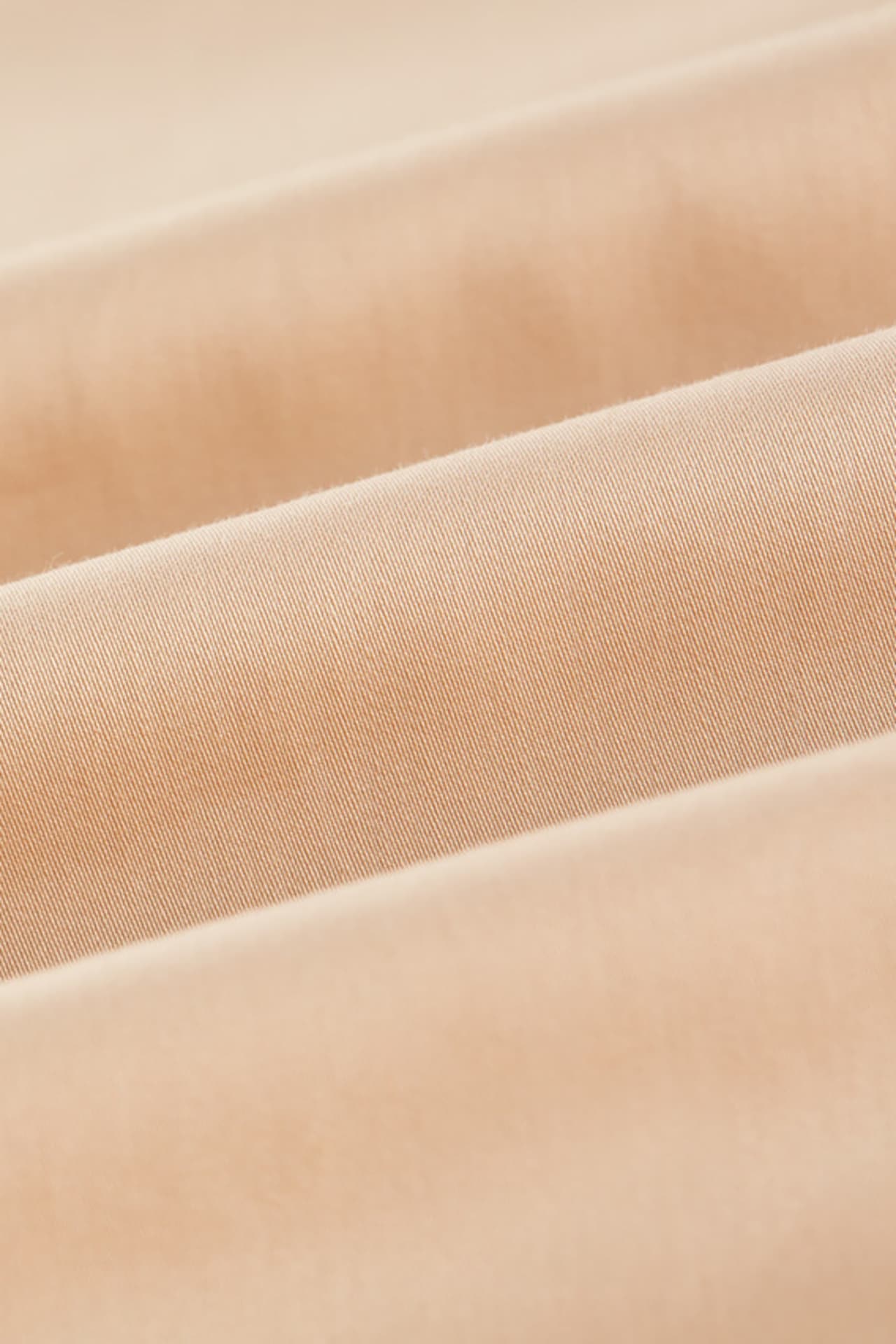 Sunset Apricot