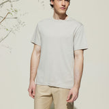 Sunlit Ivory