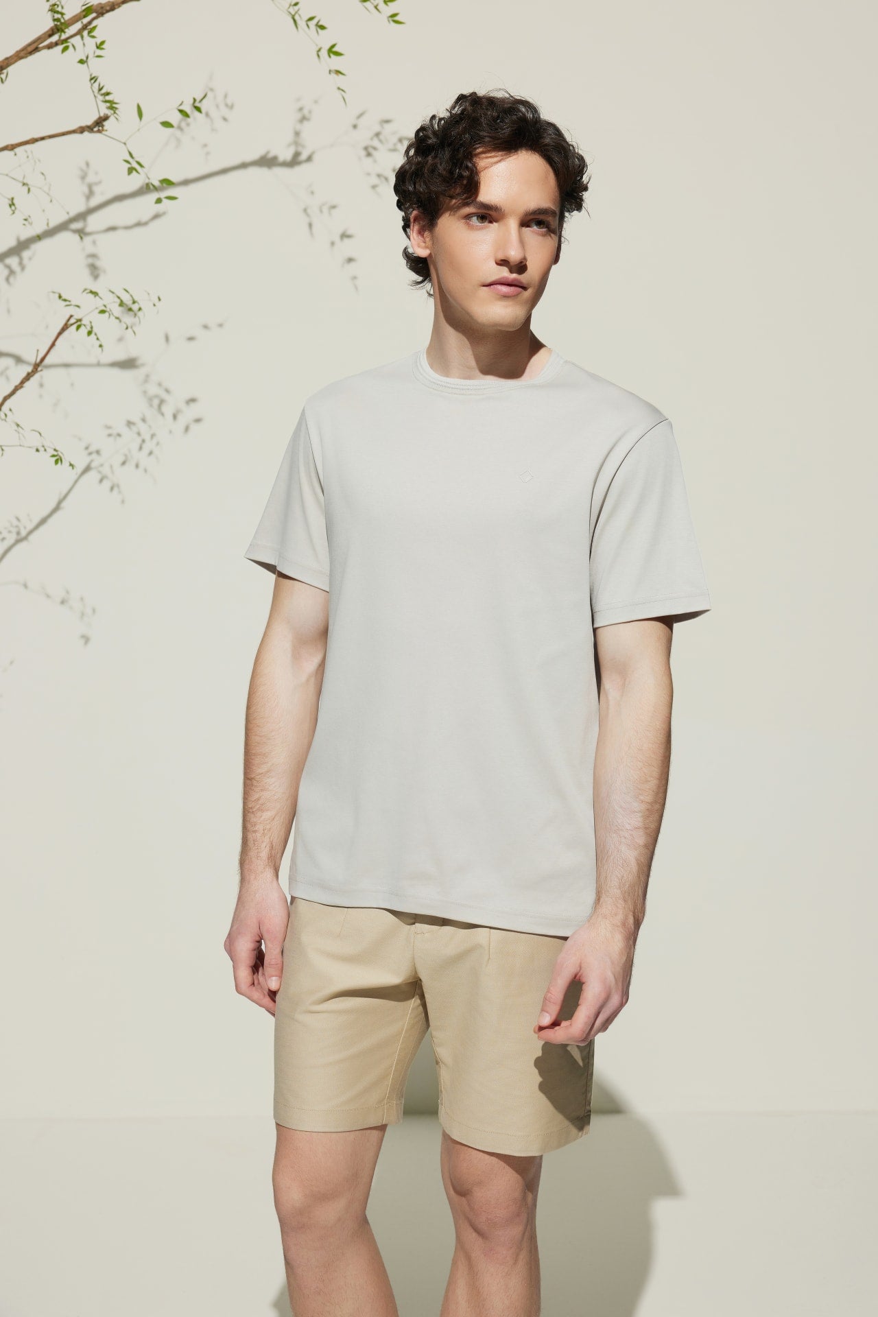 Sunlit Ivory