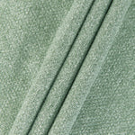 Glossy Eucalyptus