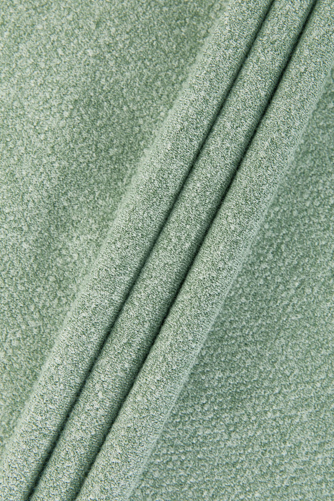 Glossy Eucalyptus