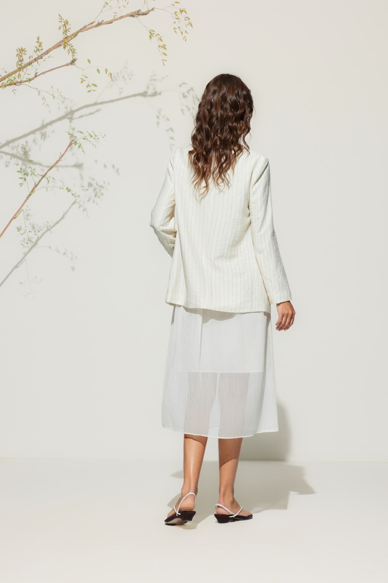 Blanc Canvas