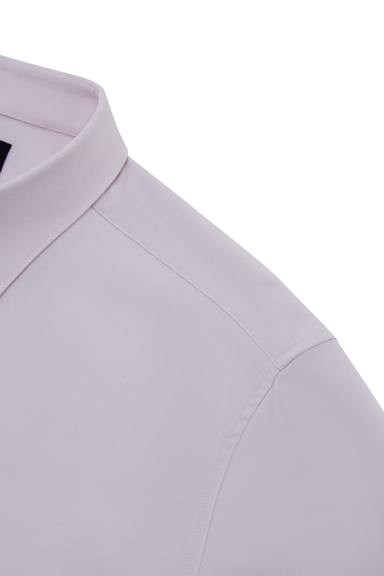 Shell Pink
