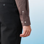 Chestnut