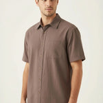 Chestnut