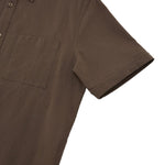 Chestnut
