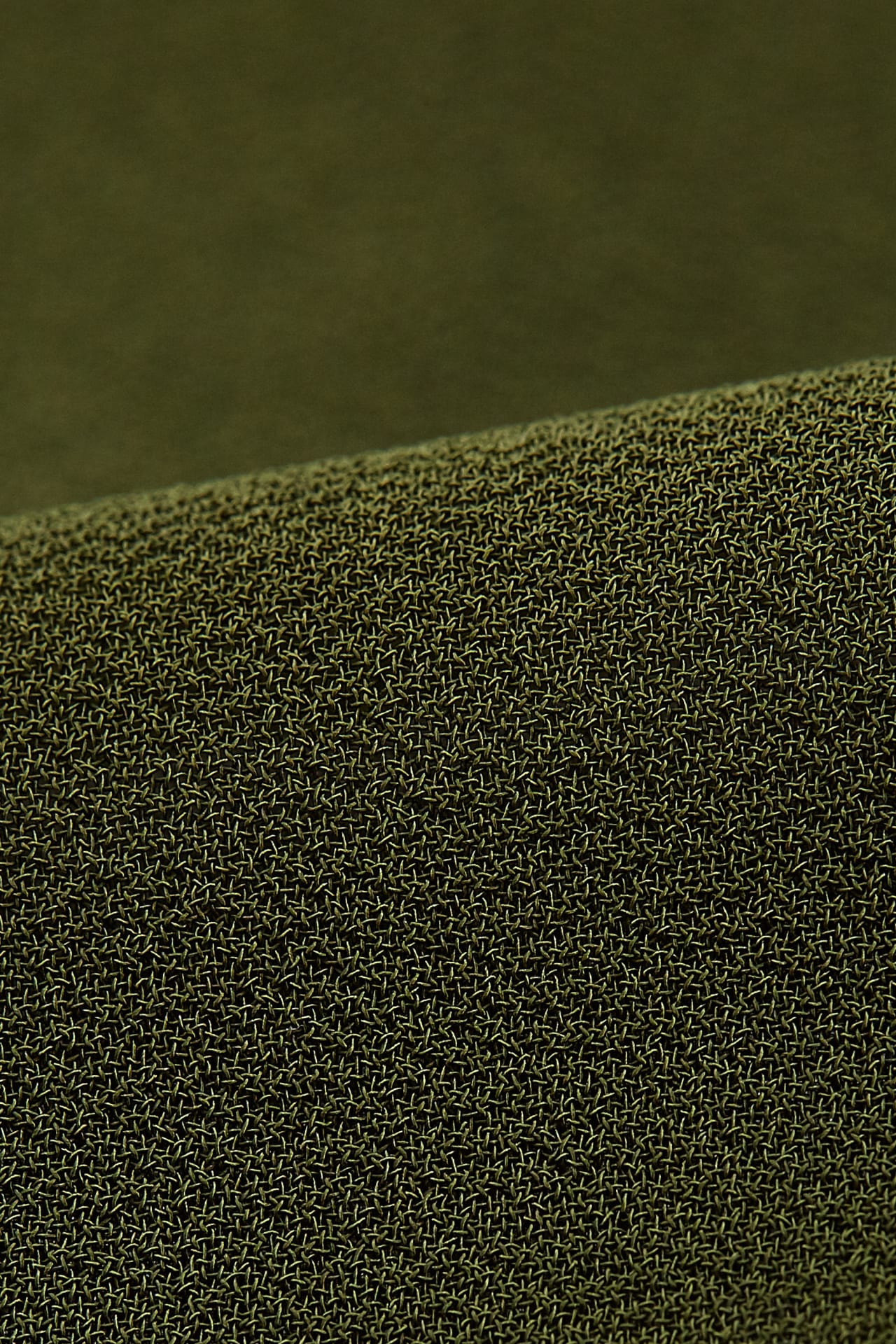 Black Olive