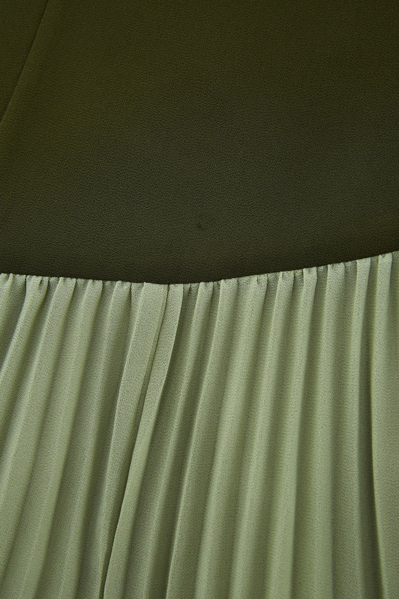 Black Olive