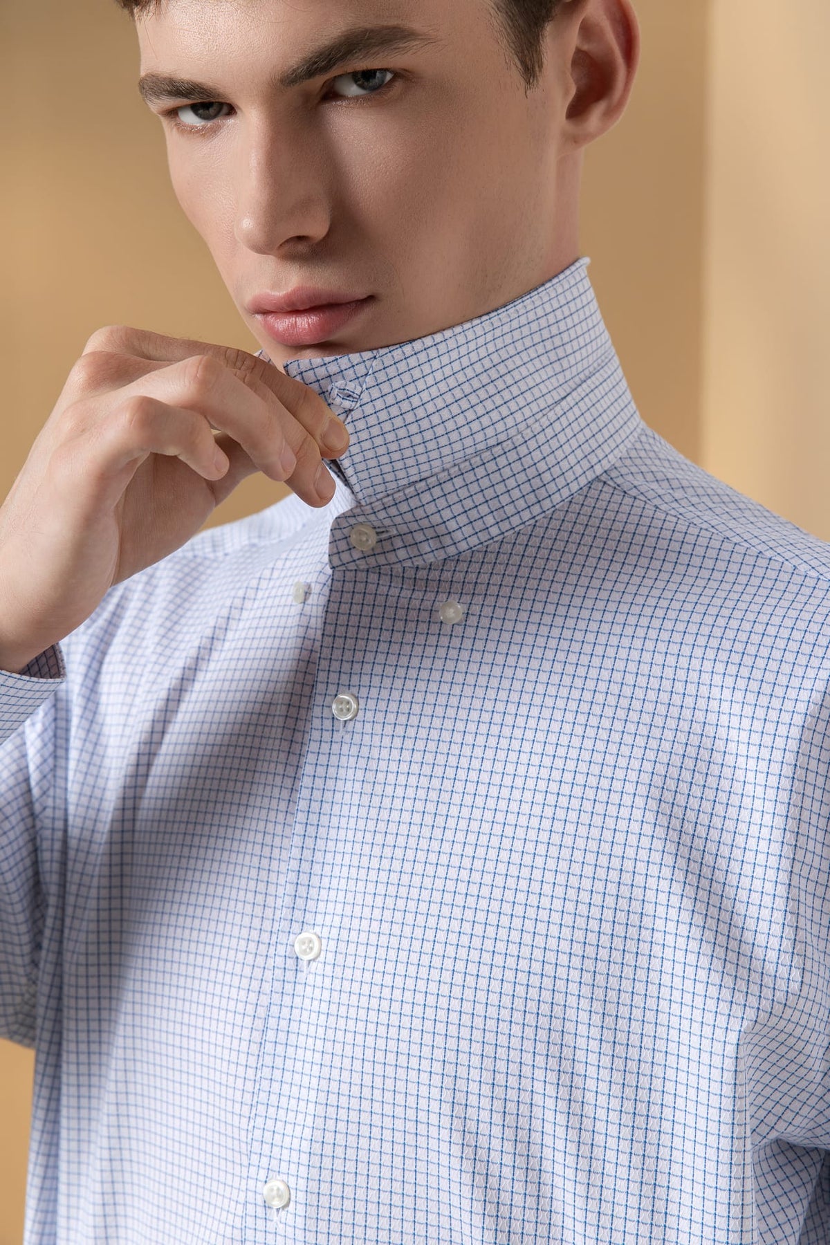 Non-Iron Easy Care Cotton Blend Stretch Check Smart Fit Long Sleeve Shirt