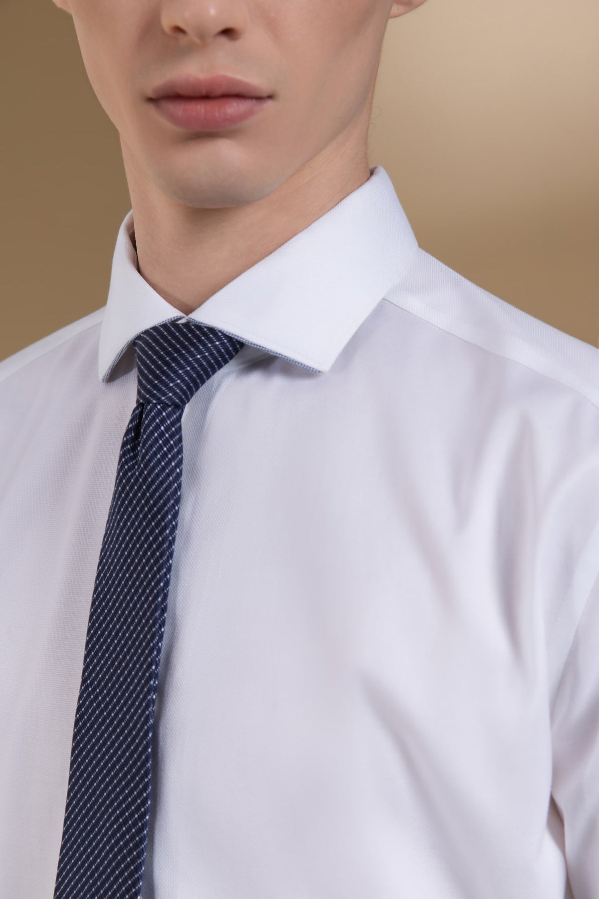 Non-Iron Cotton Stretch Dobby Texture Smart Fit Long Sleeve Shirt