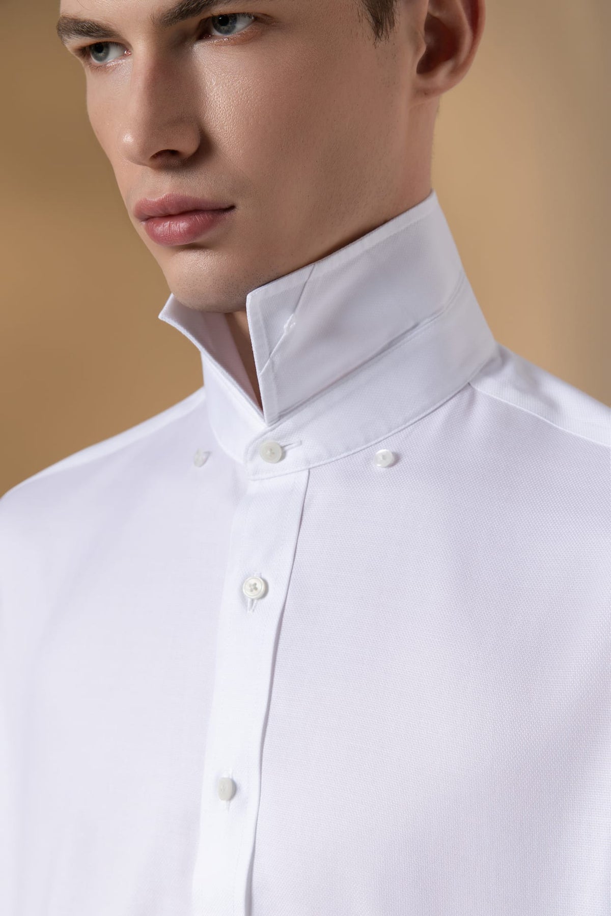 Non-Iron Cotton Stretch Dobby Texture Regular Fit Long Sleeve Shirt