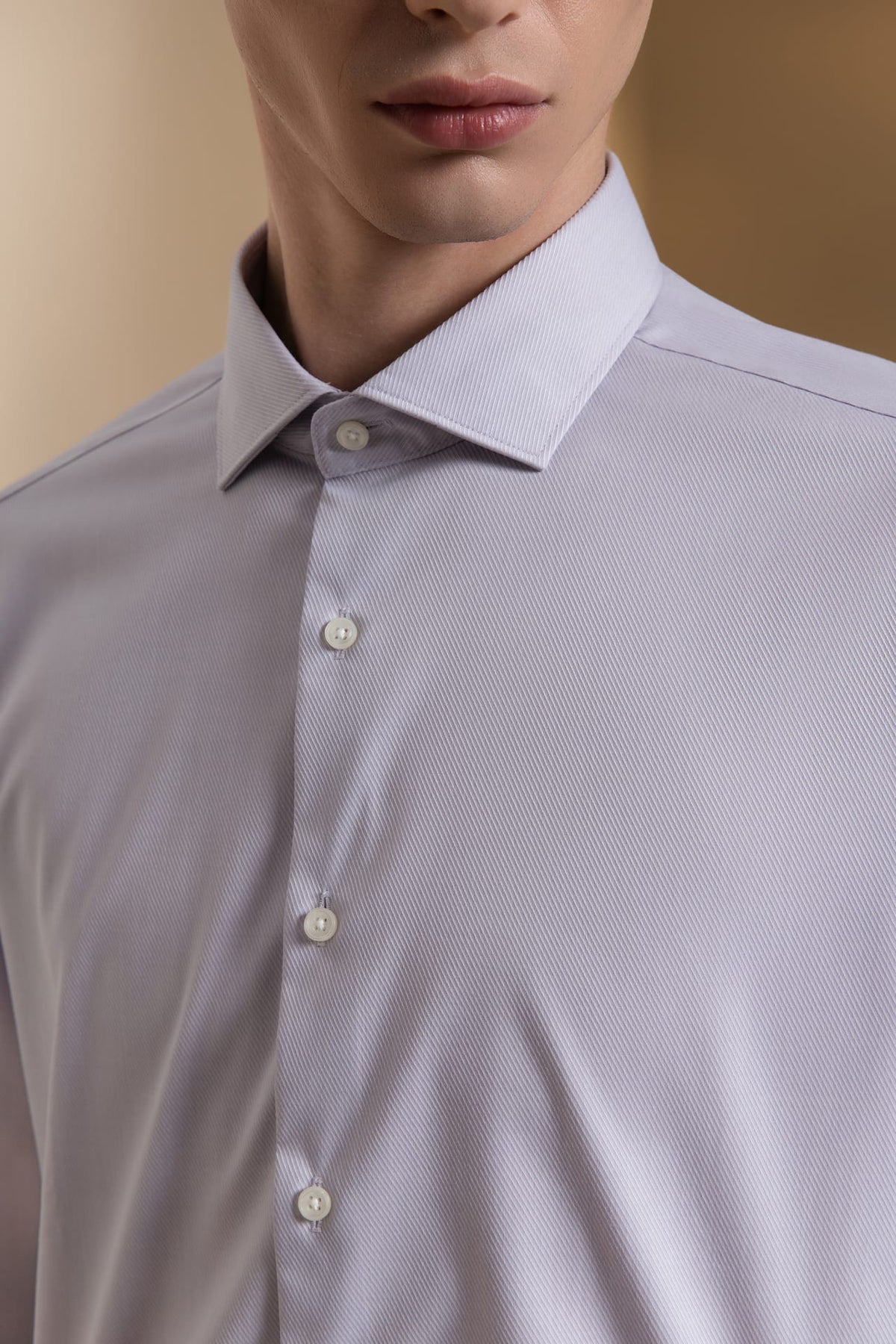 Non-Iron Three Proof Finish Dobby Twill Smart Fit Long Sleeve Shirt