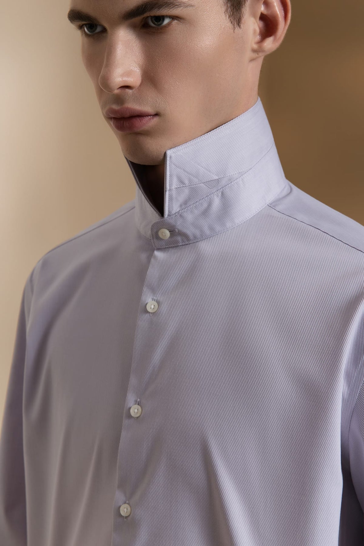 Non-Iron Three Proof Finish Dobby Twill Smart Fit Long Sleeve Shirt