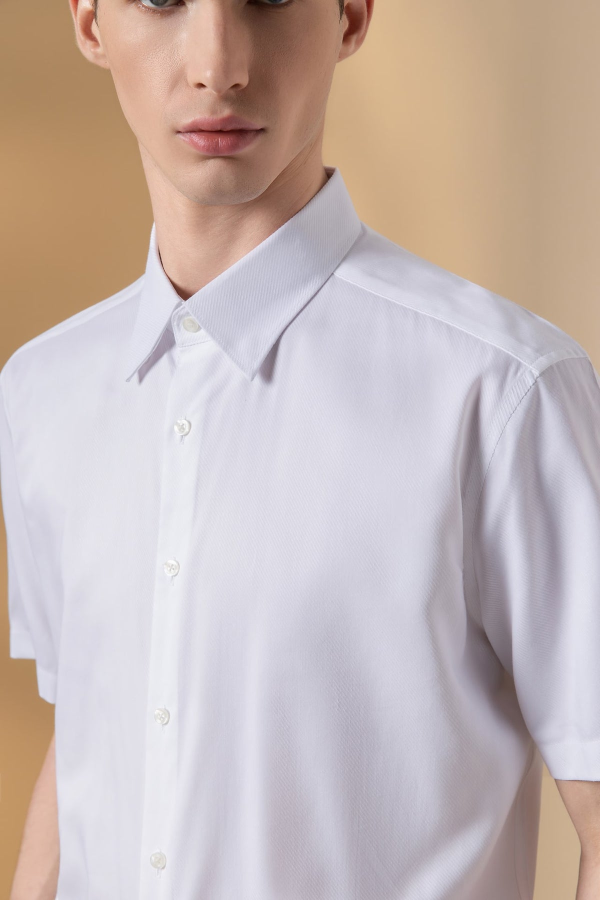 Non-Iron Cotton Blend Dobby Twill Smart Fit Short Sleeve Shirt