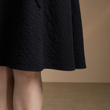 Poly Blend Seersucker Check Fit & Flare Lapel Collar Dress with Detachable Self-Fabric Belt