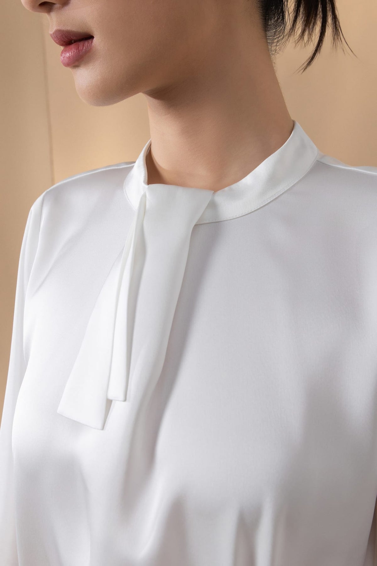 Poly Satin Regular Fit Stand Collar Blouse