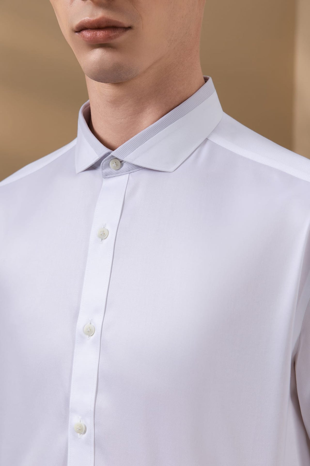 Non-Iron 200/2 Pure Cotton Fine Twill Smart Fit Long Sleeve Shirt
