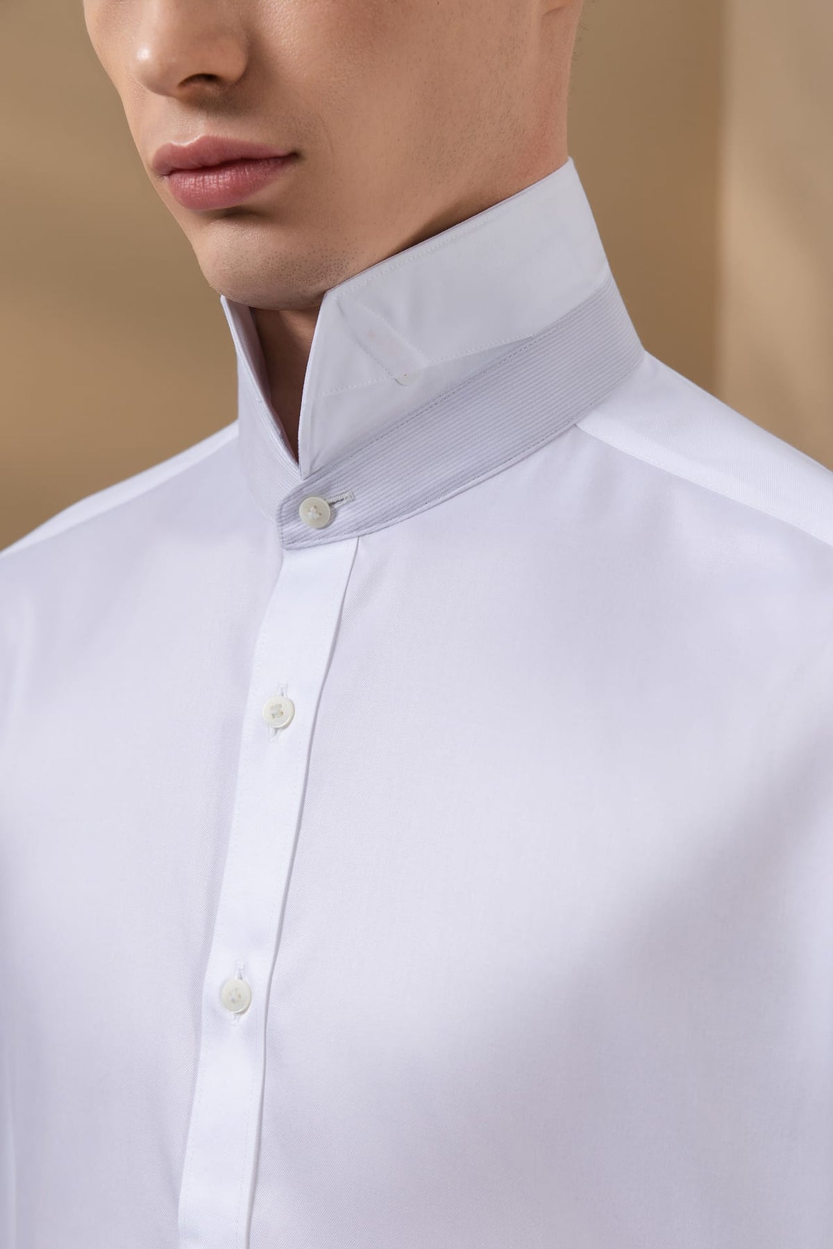 Non-Iron 200/2 Pure Cotton Fine Twill Smart Fit Long Sleeve Shirt